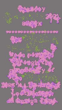 Lichenous Networks