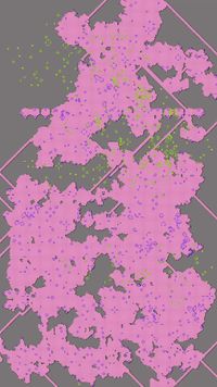 Lichenous Networks